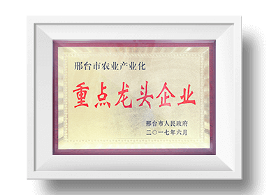 球盟会官方登录平台入口