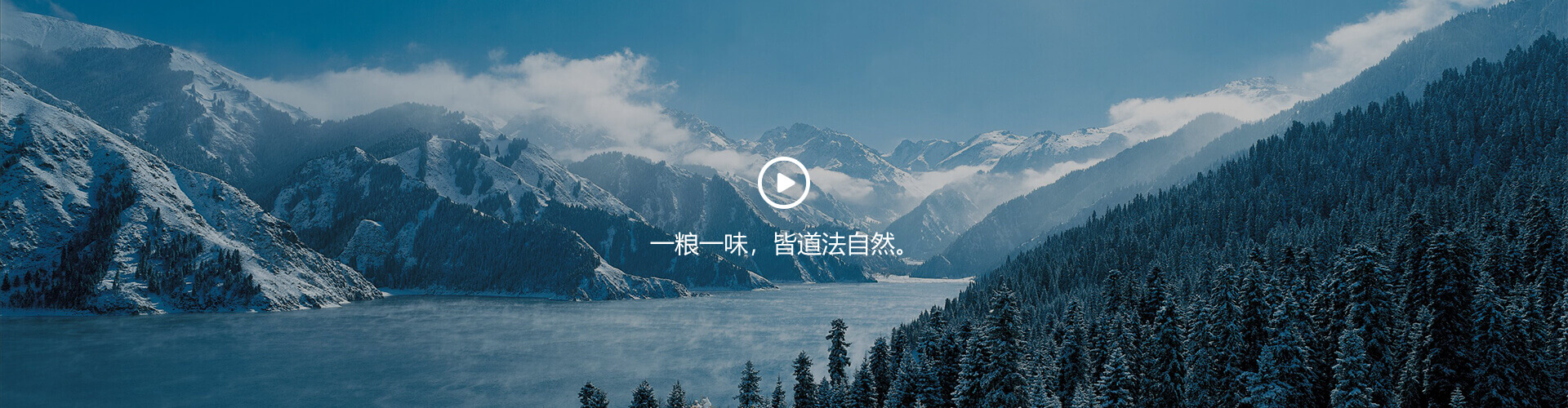 球盟会登录入口